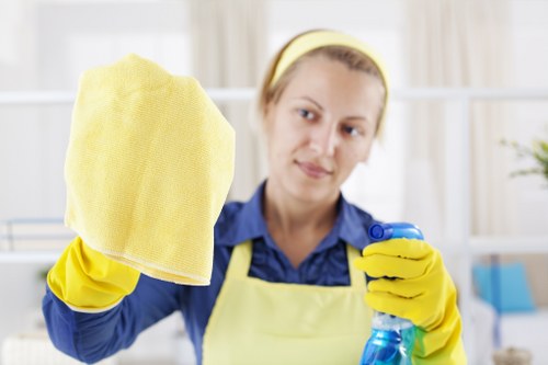 Professional oven cleaning in Bermondsey with a spotless kitchen appliance