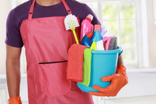 Bermondsey Cleaners professional cleaning team introduction