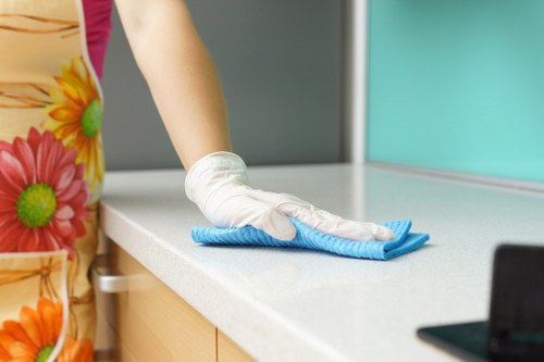 Cleaner handling property care and service responsibilities