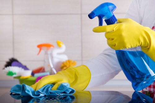 Professional home cleaners in Bermondsey working in a modern living room