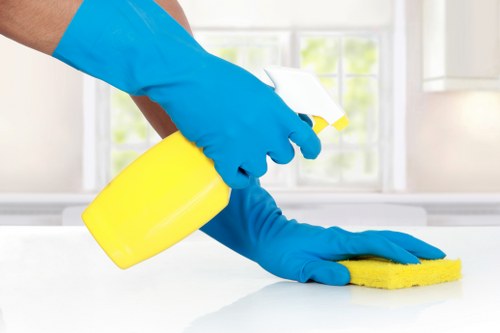 End of tenancy and deep cleaning in Bermondsey property