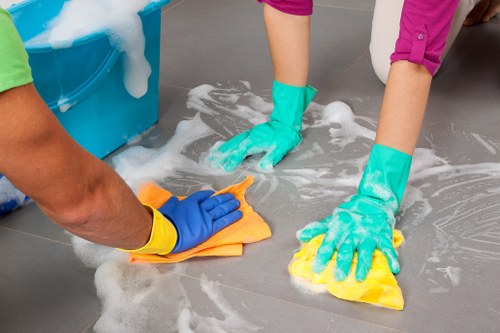 Eco-friendly house cleaning in Bermondsey bathroom maintenance