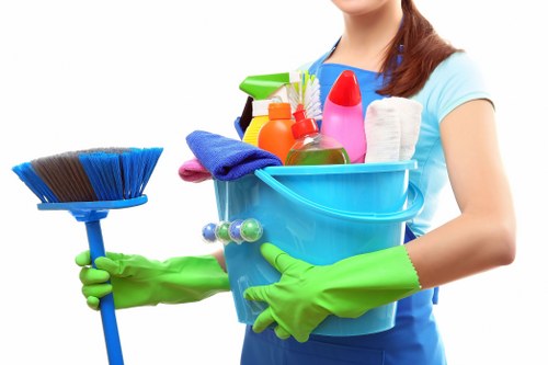 SSL-encrypted Bermondsey Cleaners payment page focused on security
