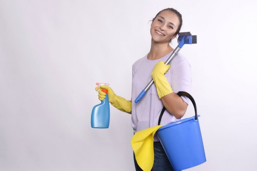 Commercial window cleaning service in Bermondsey
