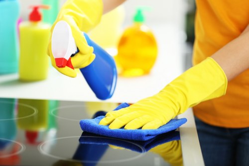 Waste separation and recycling practices in Bermondsey