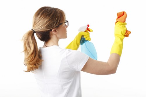 Bermondsey area profile and cleaning service homepage