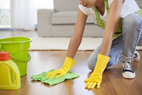Kitchen deep cleaning details in Bermondsey apartment