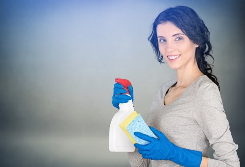 Professional cleaner in Bermondsey for domestic and deep cleaning